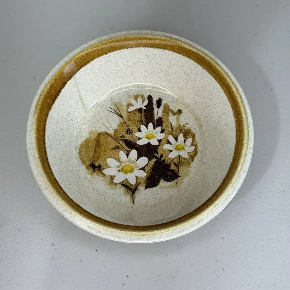 Lot of 5 Mikasa Daisy Mae Stone Manor Plates & Bowls Set MCM Floral Brown Japan